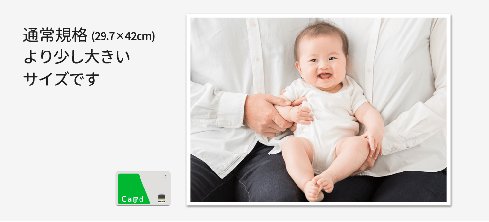 【専用の方、確認用】#254）どなたもこちらは購入不可。写真 L版 4枚 Amazon.co.jp: アート・エム 1up商品【国産】写真 L判 スリーブ